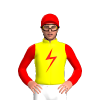 Jockey Silk