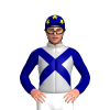 Jockey Silk
