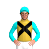 Jockey Silk