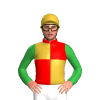 Jockey Silk