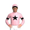 Jockey Silk