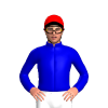 Jockey Silk