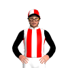 Jockey Silk