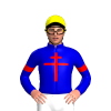 Jockey Silk
