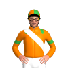 Jockey Silk