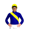 Jockey Silk