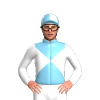 Jockey Silk