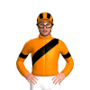 Jockey Silk