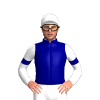 Jockey Silk
