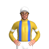 Jockey Silk