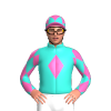 Jockey Silk