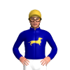 Jockey Silk