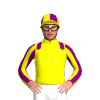 Jockey Silk