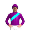 Jockey Silk