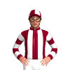 Jockey Silk