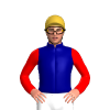 Jockey Silk