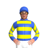 Jockey Silk