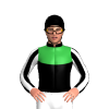 Jockey Silk