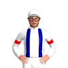 Jockey Silk