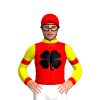 Jockey Silk