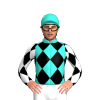 Jockey Silk