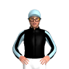 Jockey Silk