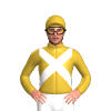 Jockey Silk
