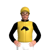 Jockey Silk