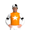 Jockey Silk