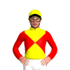 Jockey Silk