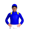 Jockey Silk