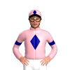 Jockey Silk