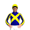 Jockey Silk
