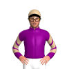 Jockey Silk