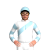 Jockey Silk