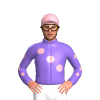 Jockey Silk