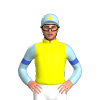 Jockey Silk