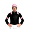 Jockey Silk
