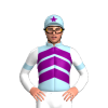 Jockey Silk