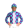 Jockey Silk