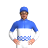 Jockey Silk