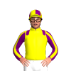 Jockey Silk