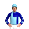 Jockey Silk