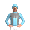 Jockey Silk