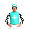 Jockey Silk