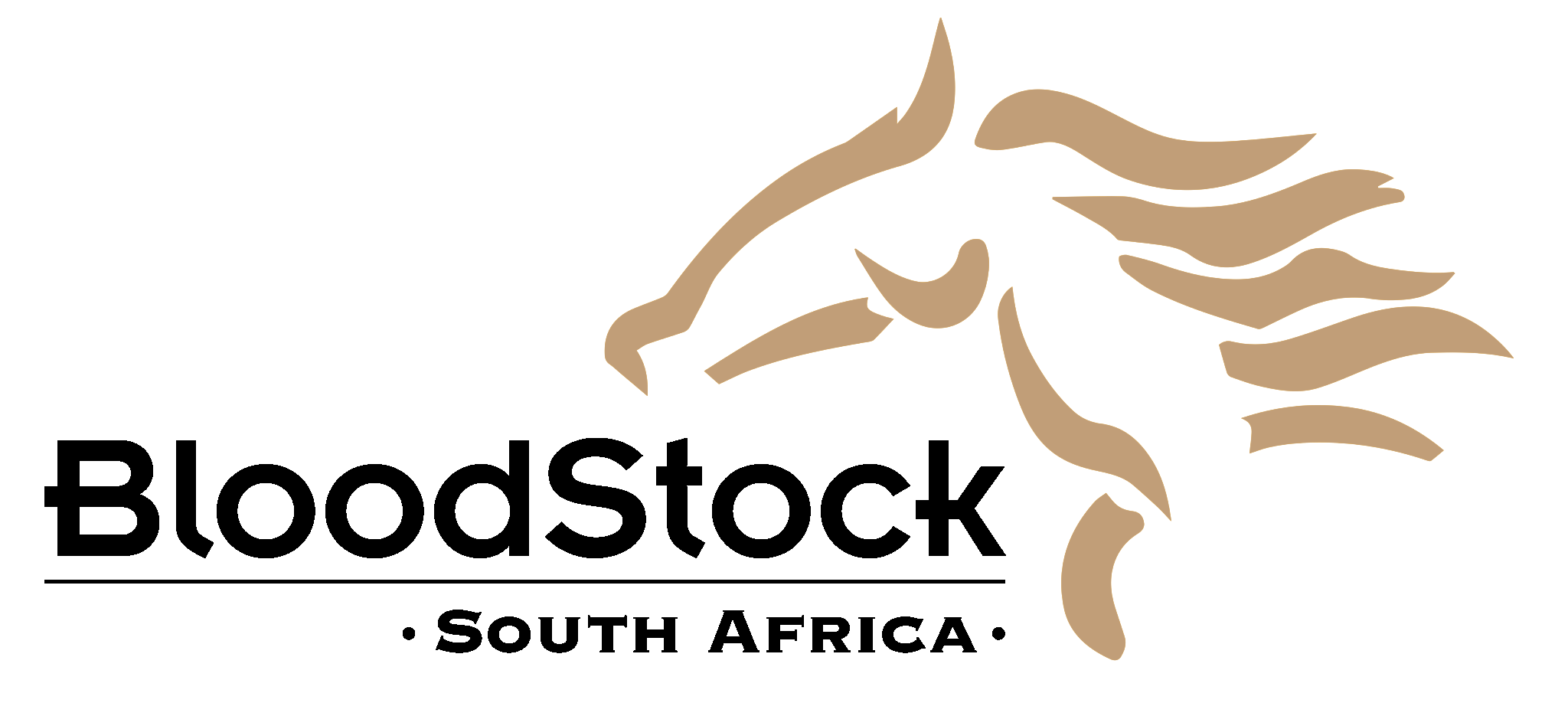 Turffontein Standside Free Form Guide | Sibling Report | Race 9 ...